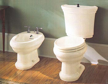 Example of freestanding bidet installed with toilet