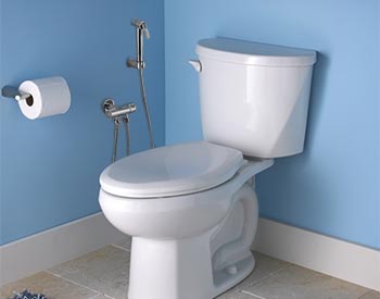 Example of handspray bidet installed with toilet