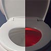 Bemis Affinity night light toilet seat