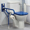 Toilet safety example