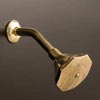 Designer shower head
