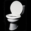 Extra big toilet seat
