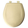 Seat for Briggs toilets