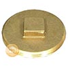 Brass clean out plug