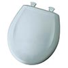 Blue toilet seat