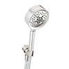 Danze handheld shower head