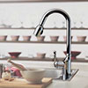 Melrose kitchen faucet