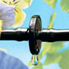 Drip emitter