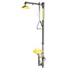 Emergency shower and eyewash combos