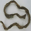 Oakum strand