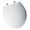 Big toilet seat