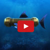 SharkBite video