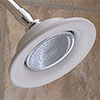 Sunflower shower head
