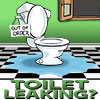 Common Causes of Toilet Leaks