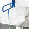Toilet safety bar