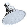Vintage style watering can showerhead