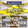 Sewage backup help
