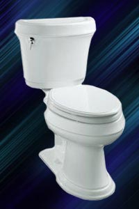 New Kohler toilet