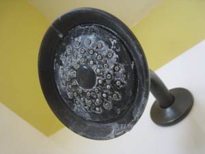 Shower head with mineral deposits