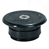 expansion cleanout repair plug