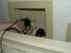 easy installations for preventing water damage in your laundry room
