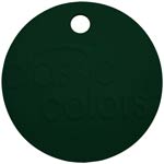 Rain Forest color chip
