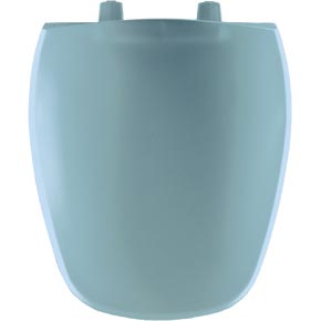 blue plastic toilet seat