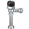 dual flush valves