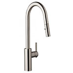 Parma kitchen faucet with pull down spout