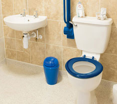 Toilet with fold-up transfer bar, colored seat, and bright trash can