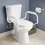 Toilet safety bars