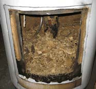 Why & How do I Flush My Water Heater?