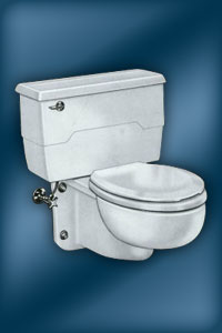 Kohler wall hung Bolton toilet