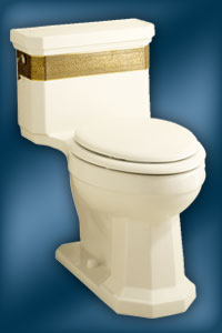 Saree toilet
