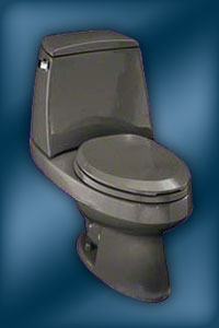 Kohler Loon toilet