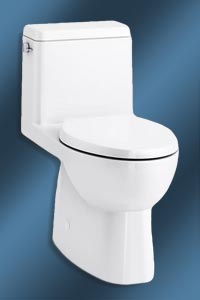 Kohler Reach toilet