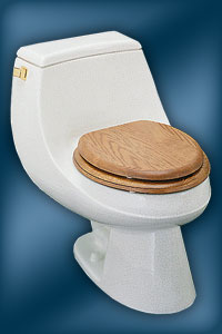Kohler Fables and Flowers pattern on San Martine toilet