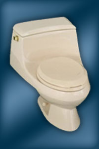 San Miguel toilet