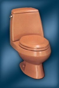 Kohler Wellington toilet