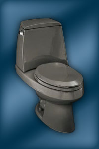 Kohler Wellington toilet