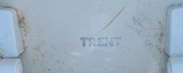 Trent toilet tank lids