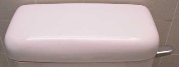 toilet tank lid from Barbados