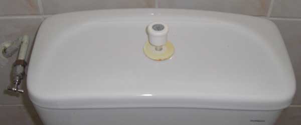 toilet tank lid from Iles Des Saintes