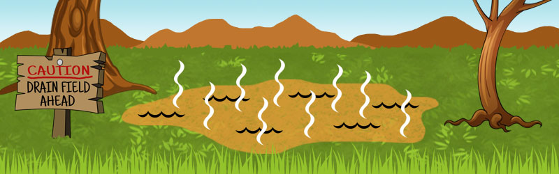 Learn how a septic system works