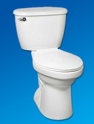 Mansfield toilet 2025