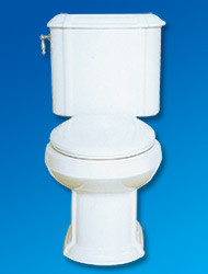 Dominion toilet