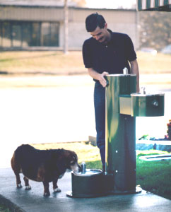pedestal fountain with attached pet fountain