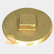 Cleanout plugs