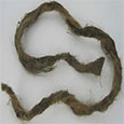 Oakum