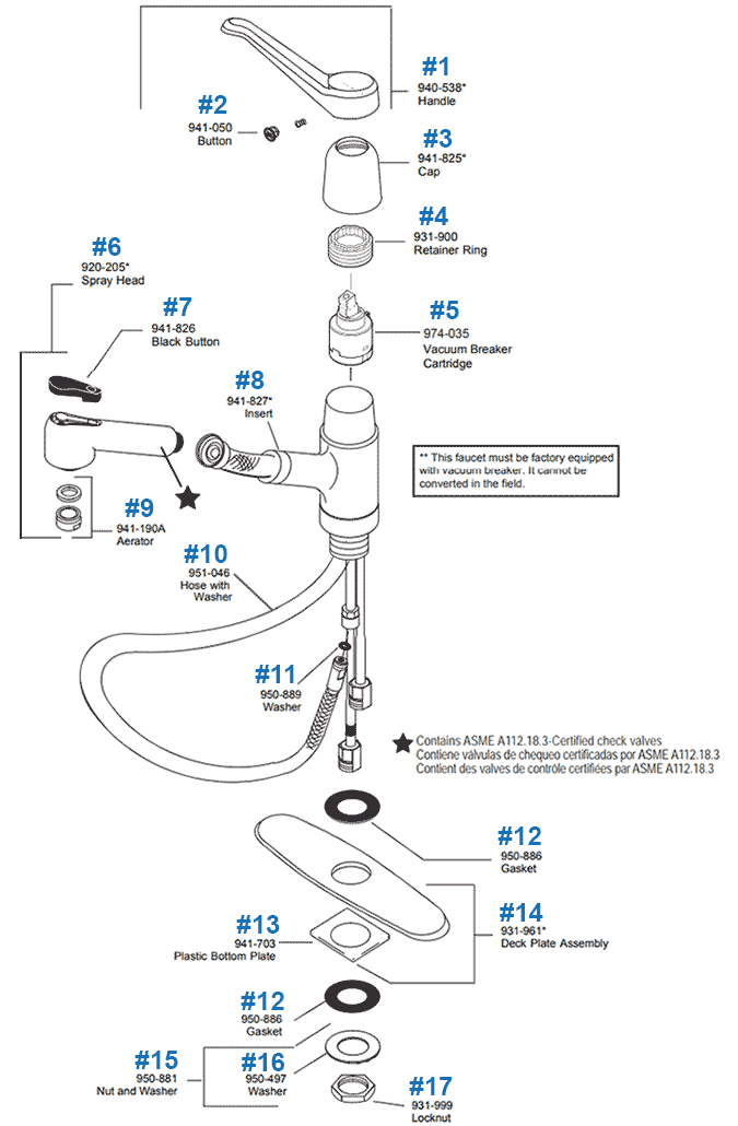 Pfister Pull Out Kitchen Faucet